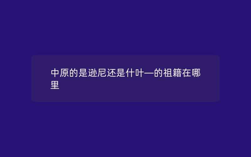 中原的是逊尼还是什叶—的祖籍在哪里