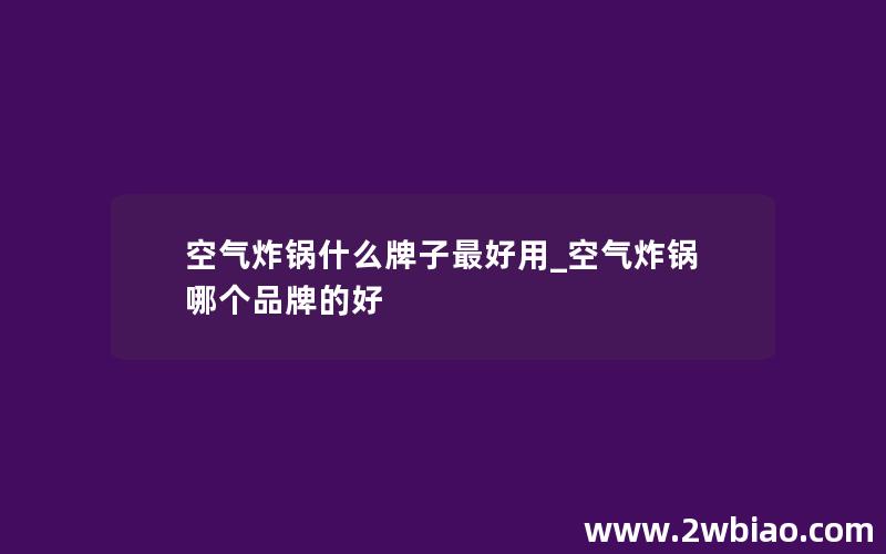 空气炸锅什么牌子最好用_空气炸锅哪个品牌的好