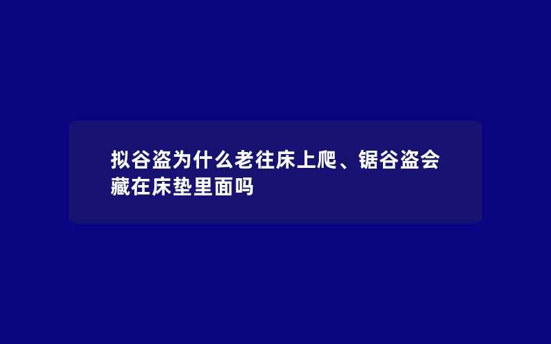 拟谷盗为什么老往床上爬、锯谷盗会藏在床垫里面吗