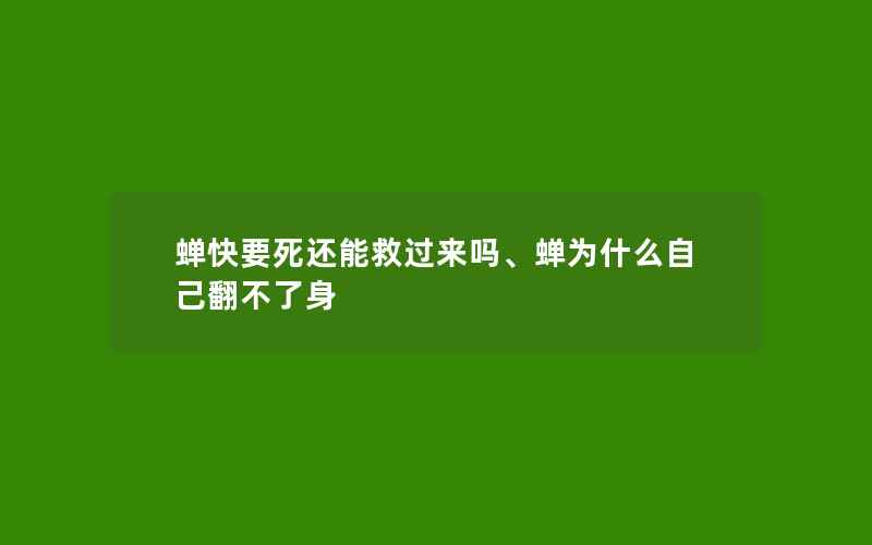 蝉快要死还能救过来吗、蝉为什么自己翻不了身