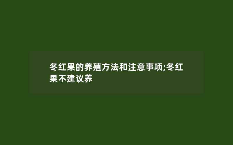 冬红果的养殖方法和注意事项;冬红果不建议养