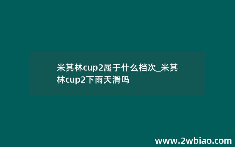 米其林cup2属于什么档次_米其林cup2下雨天滑吗