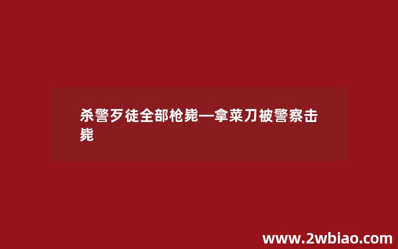 杀警歹徒全部枪毙—拿菜刀被警察击毙