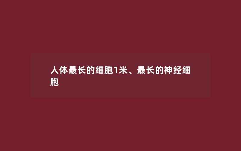 人体最长的细胞1米、最长的神经细胞