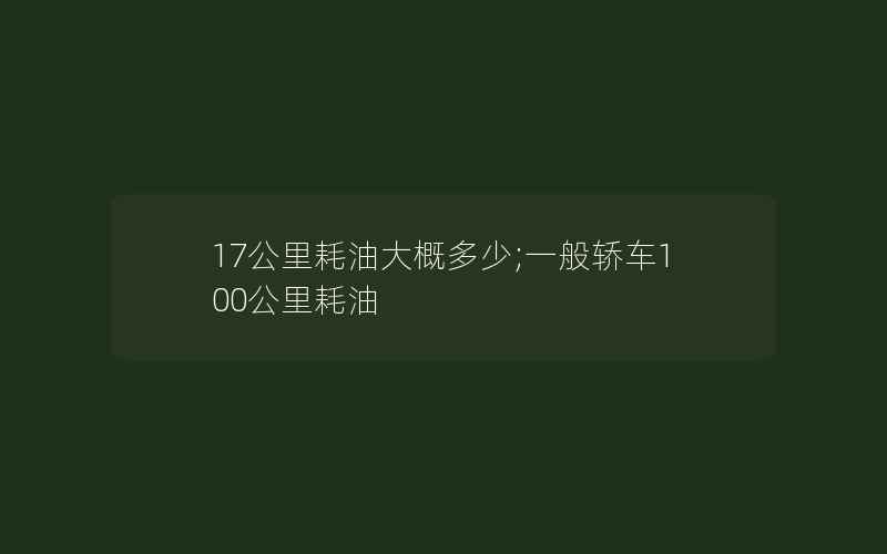 17公里耗油大概多少;一般轿车100公里耗油