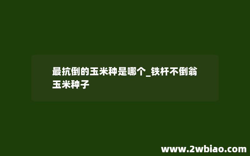 最抗倒的玉米种是哪个_铁杆不倒翁玉米种子