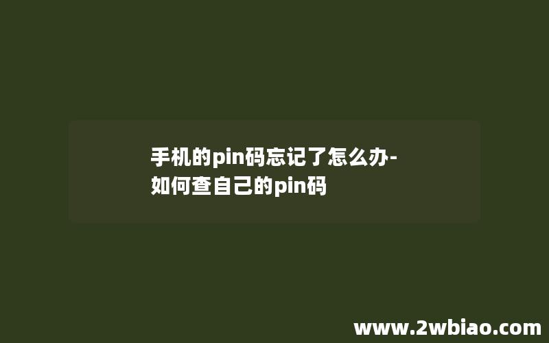 手机的pin码忘记了怎么办-如何查自己的pin码