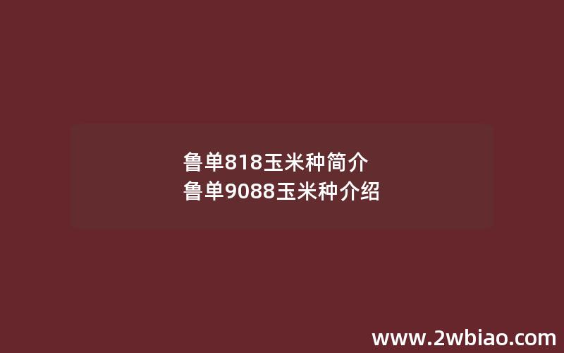 鲁单818玉米种简介 鲁单9088玉米种介绍