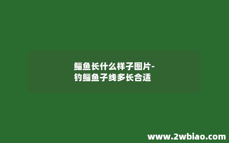 鲻鱼长什么样子图片-钓鲻鱼子线多长合适