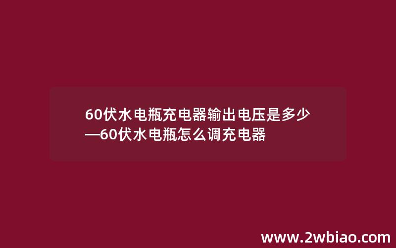 60伏水电瓶充电器输出电压是多少—60伏水电瓶怎么调充电器