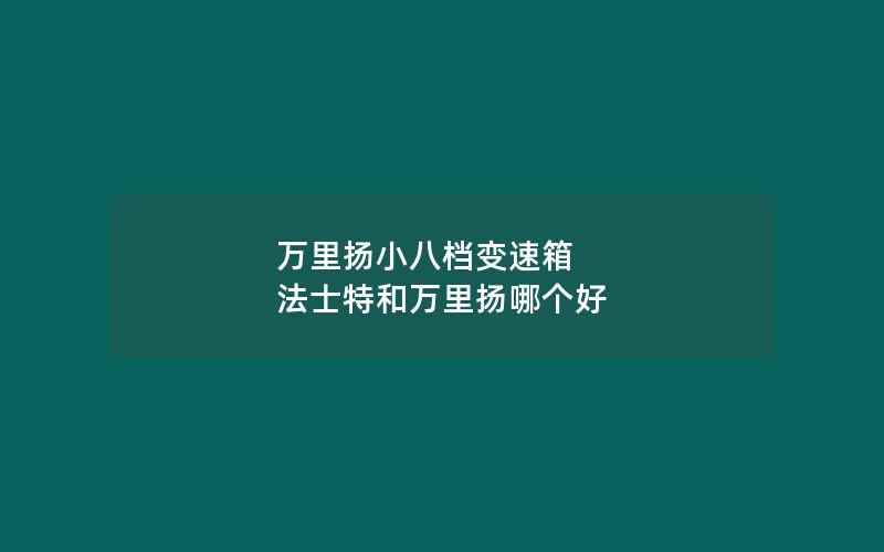 万里扬小八档变速箱 法士特和万里扬哪个好