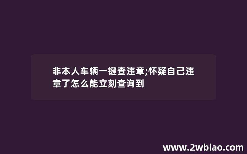 非本人车辆一键查违章;怀疑自己违章了怎么能立刻查询到