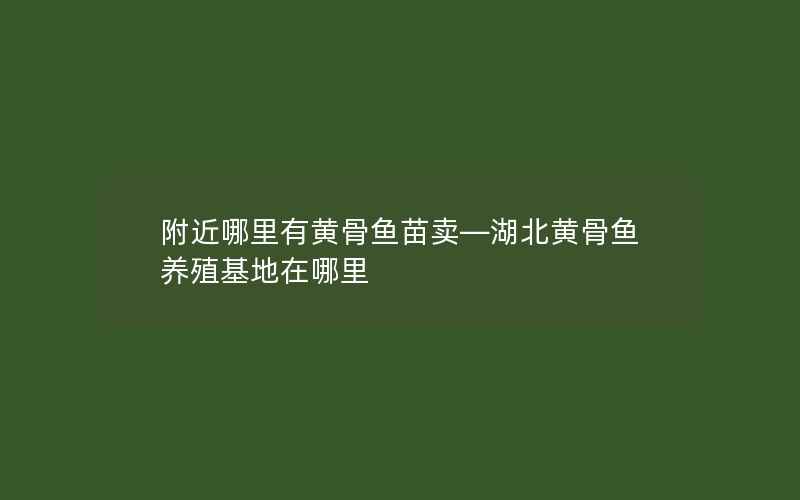 附近哪里有黄骨鱼苗卖—湖北黄骨鱼养殖基地在哪里