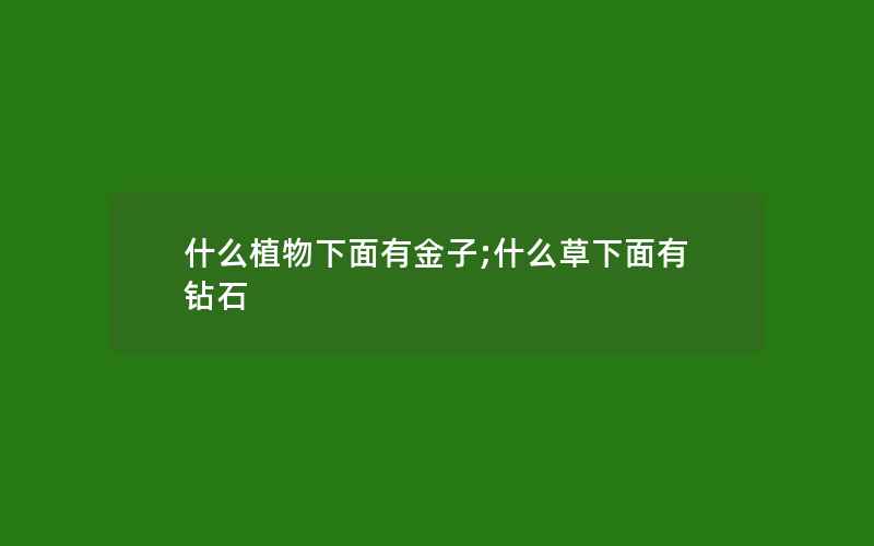 什么植物下面有金子;什么草下面有钻石