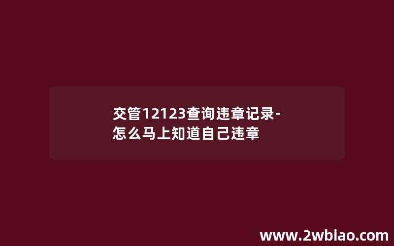 交管12123查询违章记录-怎么马上知道自己违章