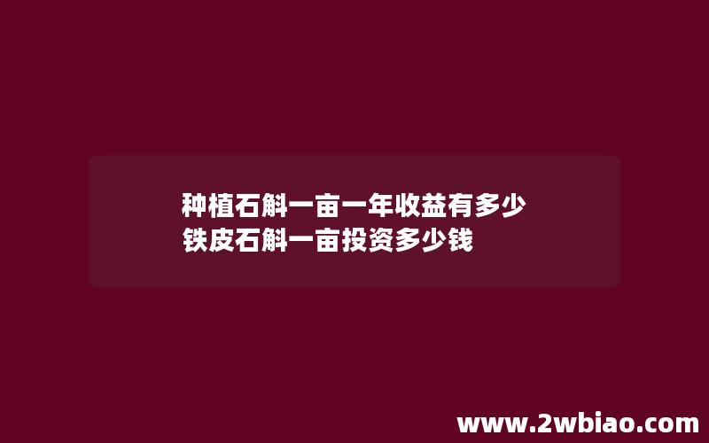 种植石斛一亩一年收益有多少 铁皮石斛一亩投资多少钱