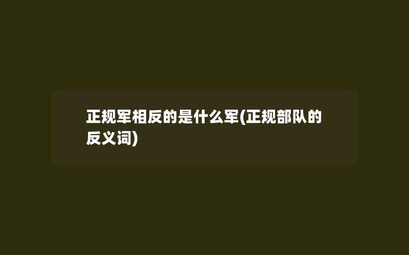 正规军相反的是什么军(正规部队的反义词)